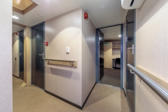 multicat-leon-h-lowres-61